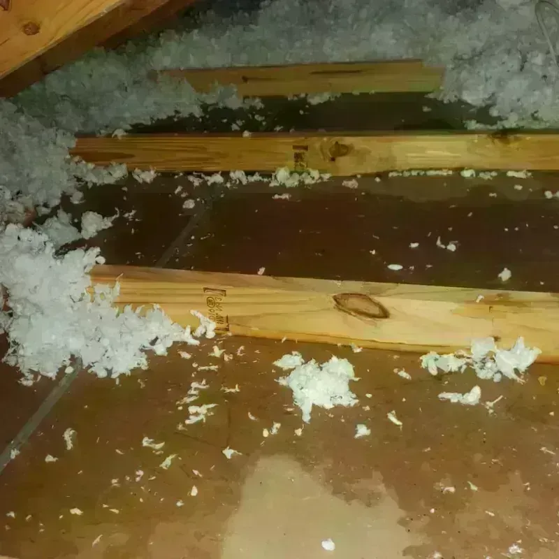 Attic Water Damage in Wheeling, IL