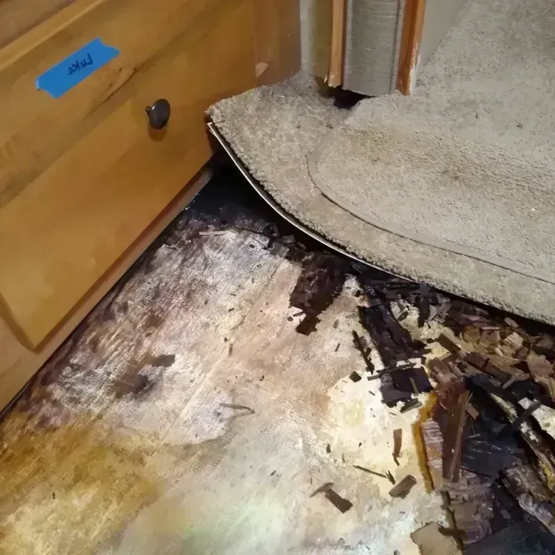 Wood Floor Water Damage in Wheeling, IL